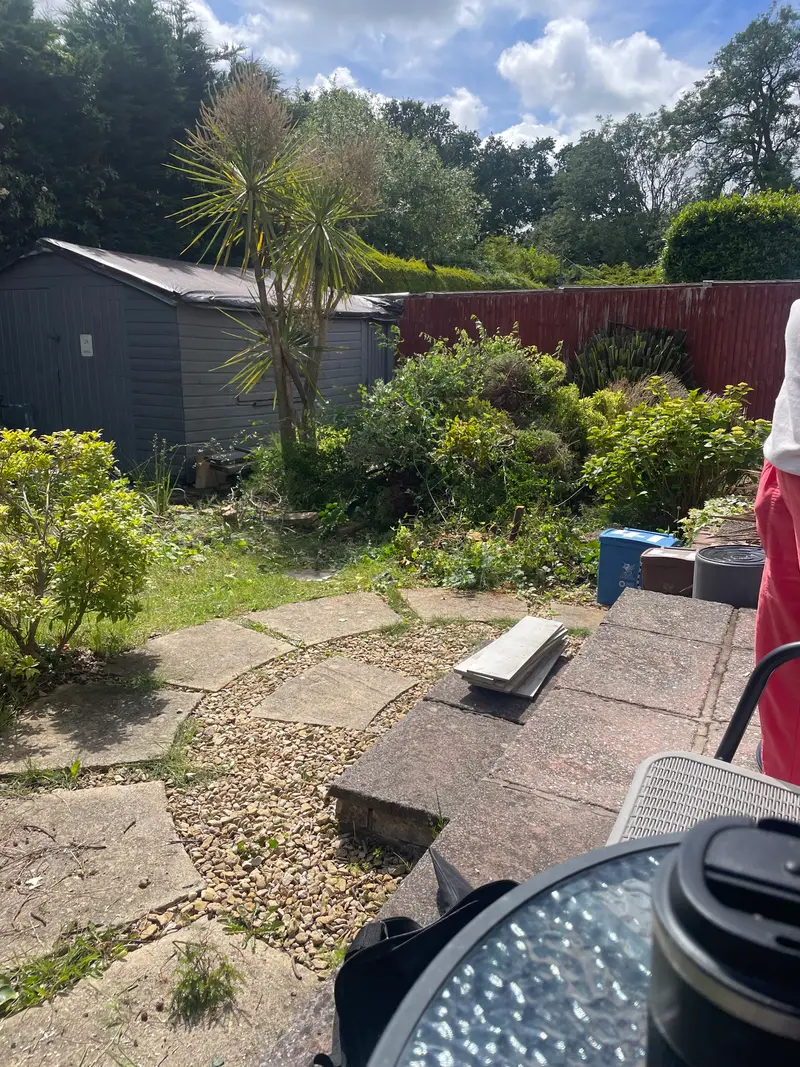 Garden before the work: cracked paving slabs and overgrown borders